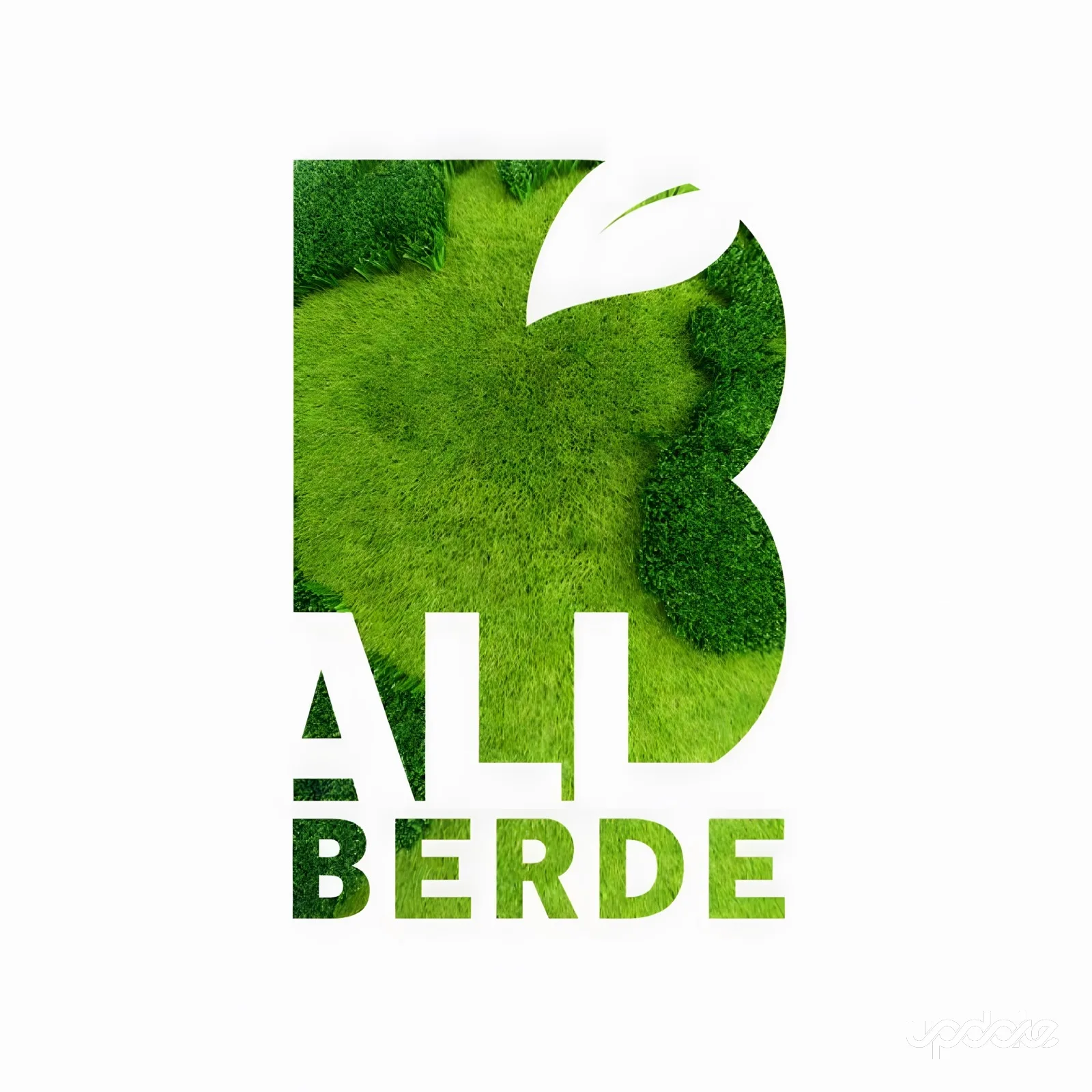 Allberde — Desarrollo de Marca