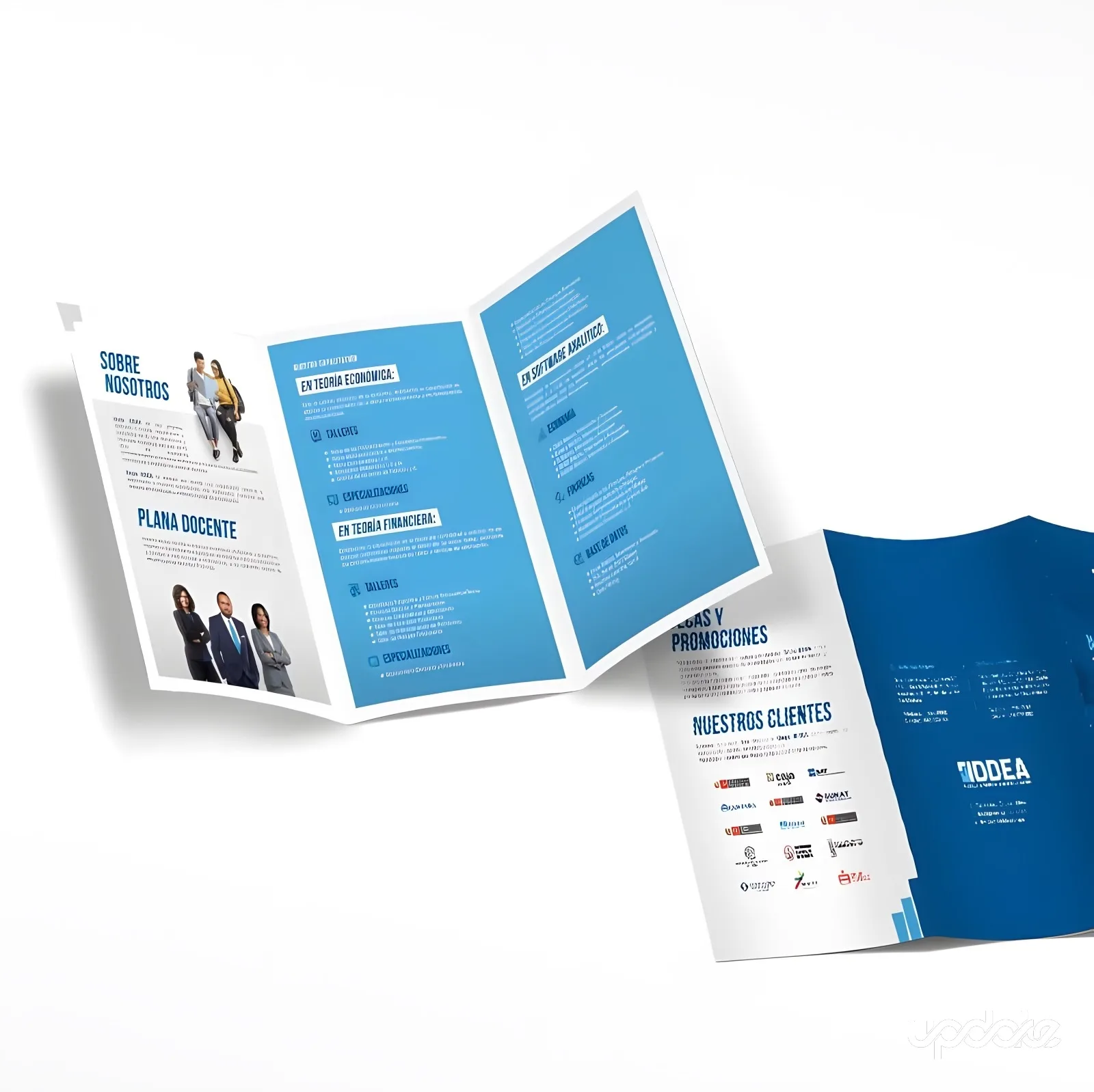 Grupo Iddea — Desarrollo de Marca