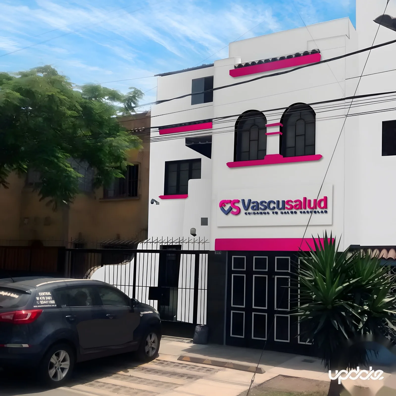 Vascusalud — Desarrollo de Marca