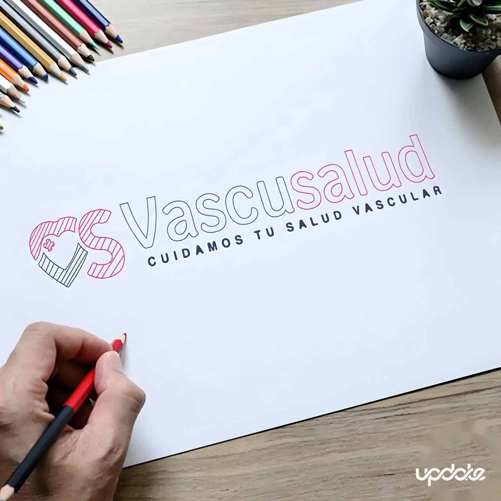 Vascusalud — Desarrollo de Marca