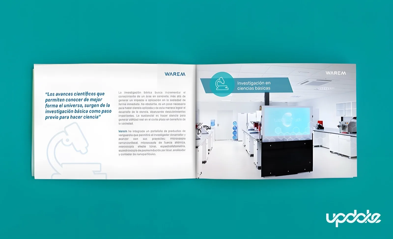 Warem — Desarrollo de Marca