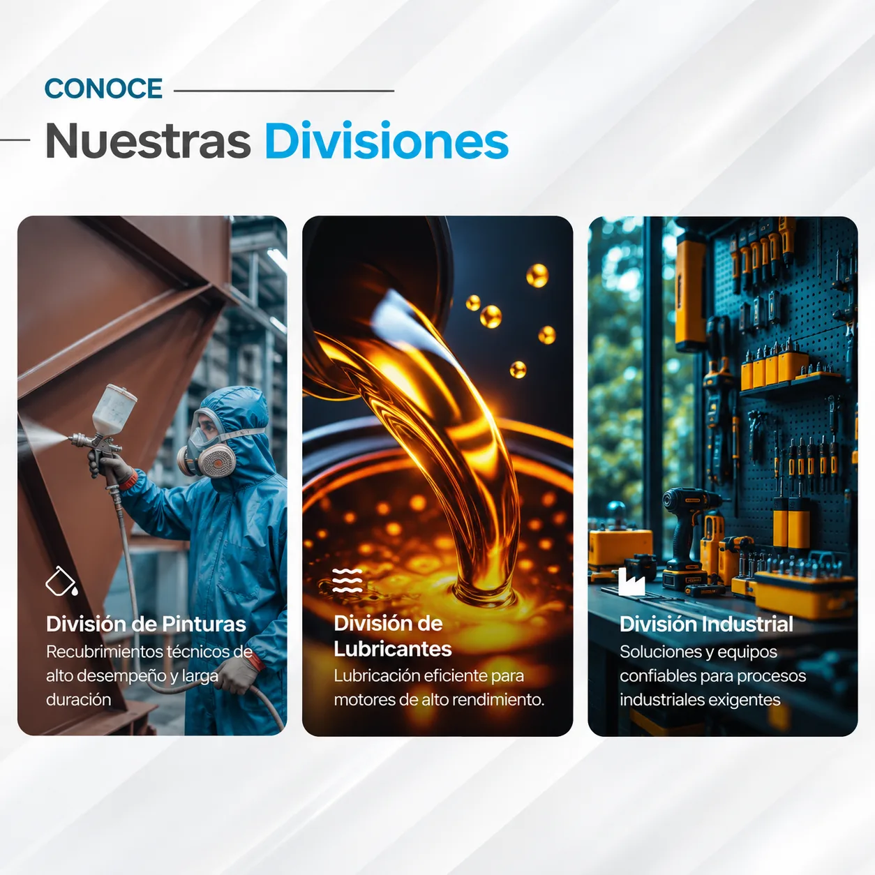 Grupo Braillard — Paginas Web